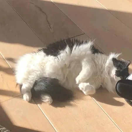 Am Weinberg, Σπίτι διακοπών