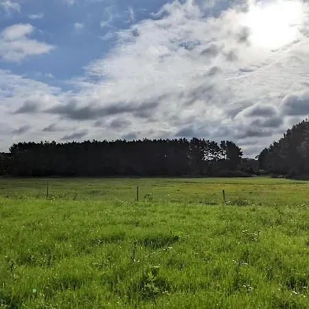 Am Weinberg, Dobbrikow