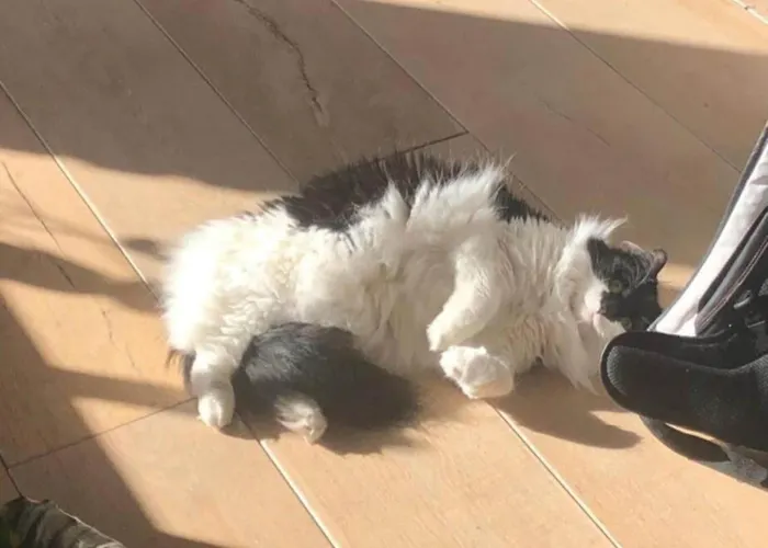 Am Weinberg, Tatil Evi