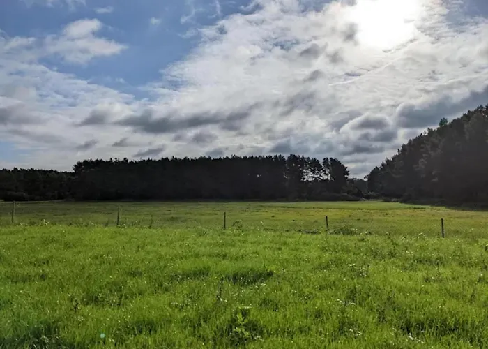 Am Weinberg, Dobbrikow